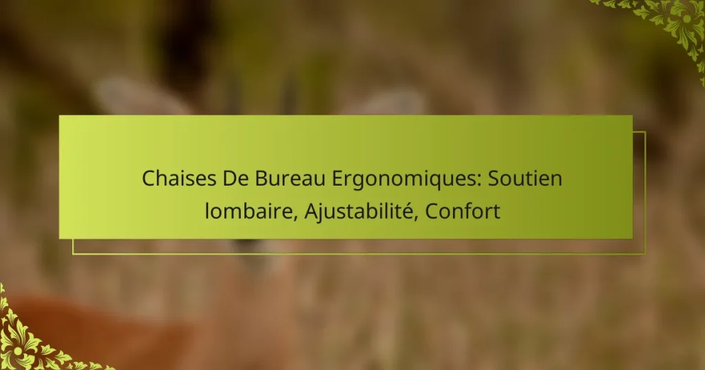 Chaises De Bureau Ergonomiques: Soutien lombaire, Ajustabilité, Confort