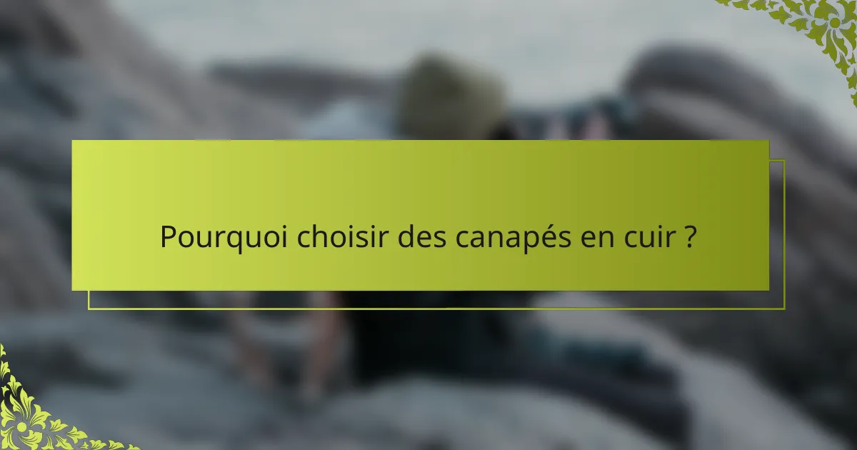 Pourquoi choisir des canapés en cuir ?
