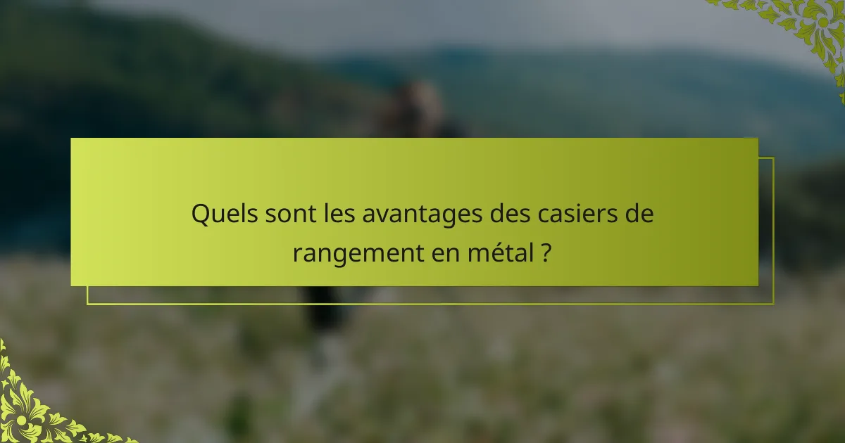 Quels sont les avantages des casiers de rangement en métal ?