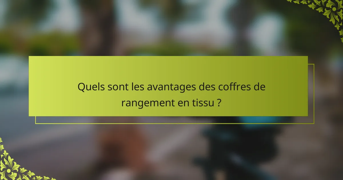 Quels sont les avantages des coffres de rangement en tissu ?