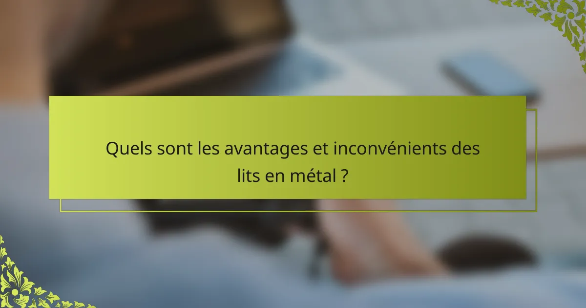 Quels sont les avantages et inconvénients des lits en métal ?