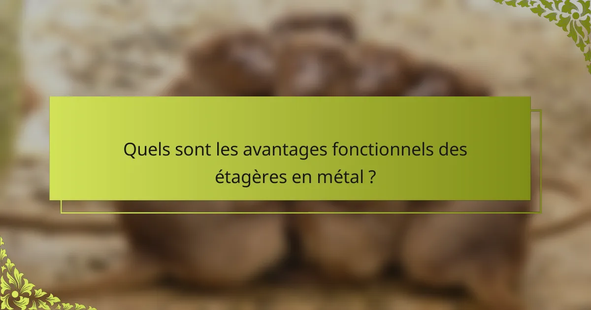 Quels sont les avantages fonctionnels des étagères en métal ?