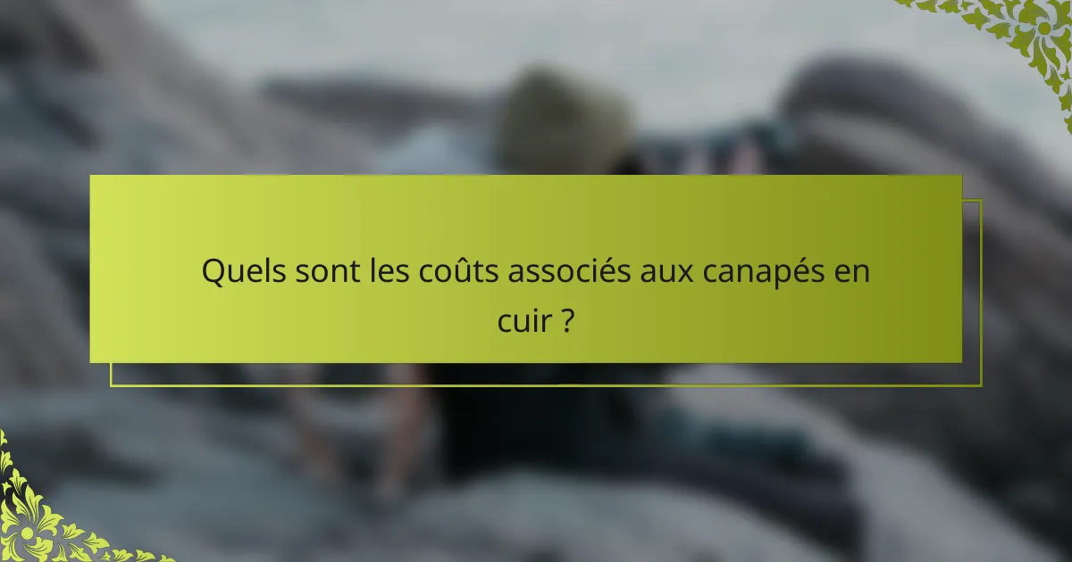 Quels sont les coûts associés aux canapés en cuir ?