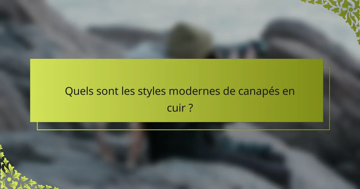 Quels sont les styles modernes de canapés en cuir ?